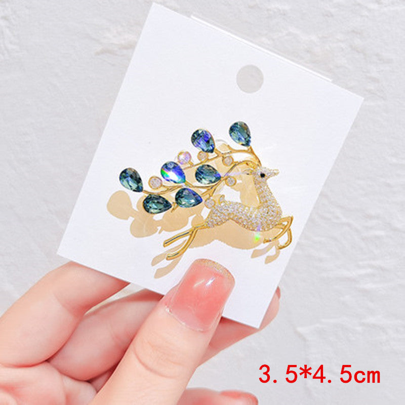 Stylish brooch on clothing display