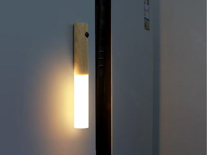 motion sensor led light in dark setting