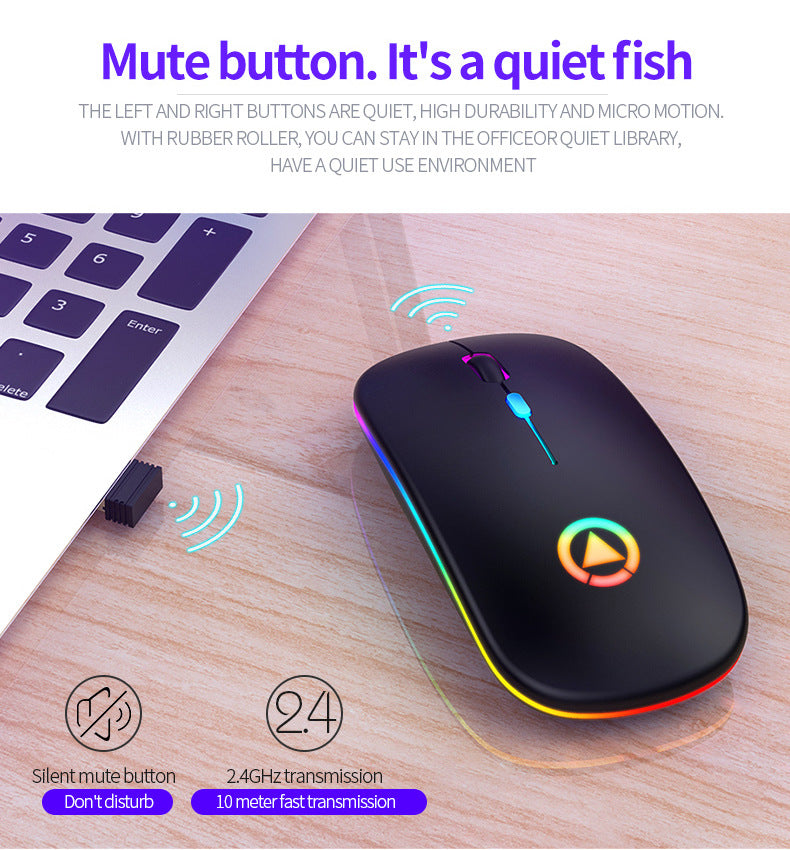 RGB lighting mouse