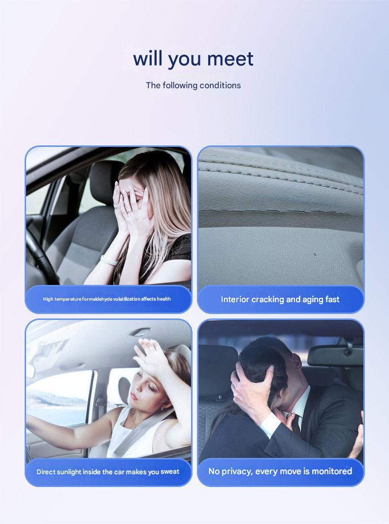 privacy sunshade curtain on passenger side window