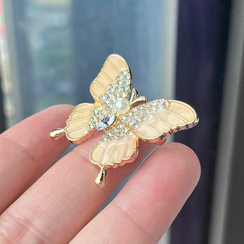 Fashion Accessory Butterfly Brooch Scene Image 5