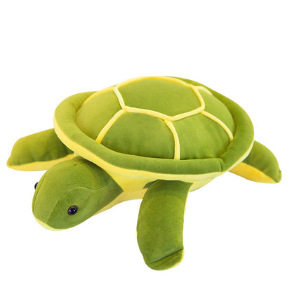 cuddly turtle gift