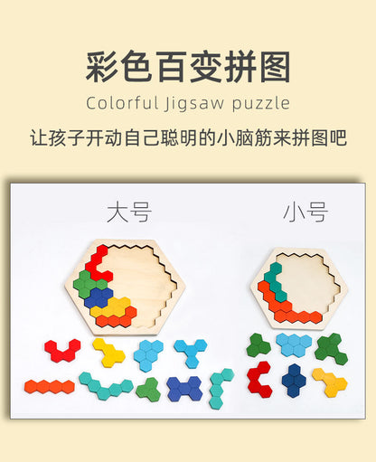 Colorful Wooden Puzzle Toy