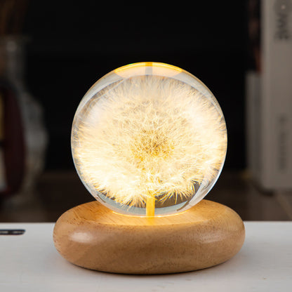 USB-powered LED crystal ball lamp with dandelion design