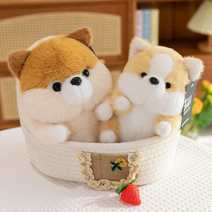 Corgi plush toy