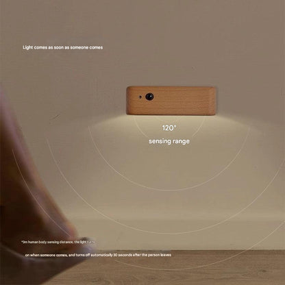 motion sensor light