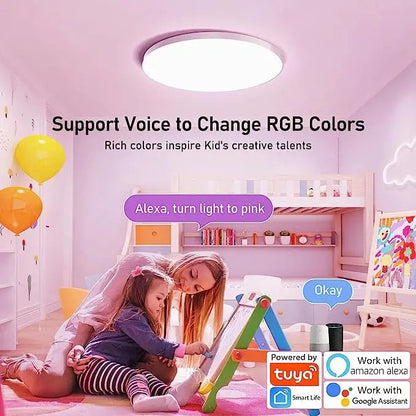 smart LED ceiling light RGB