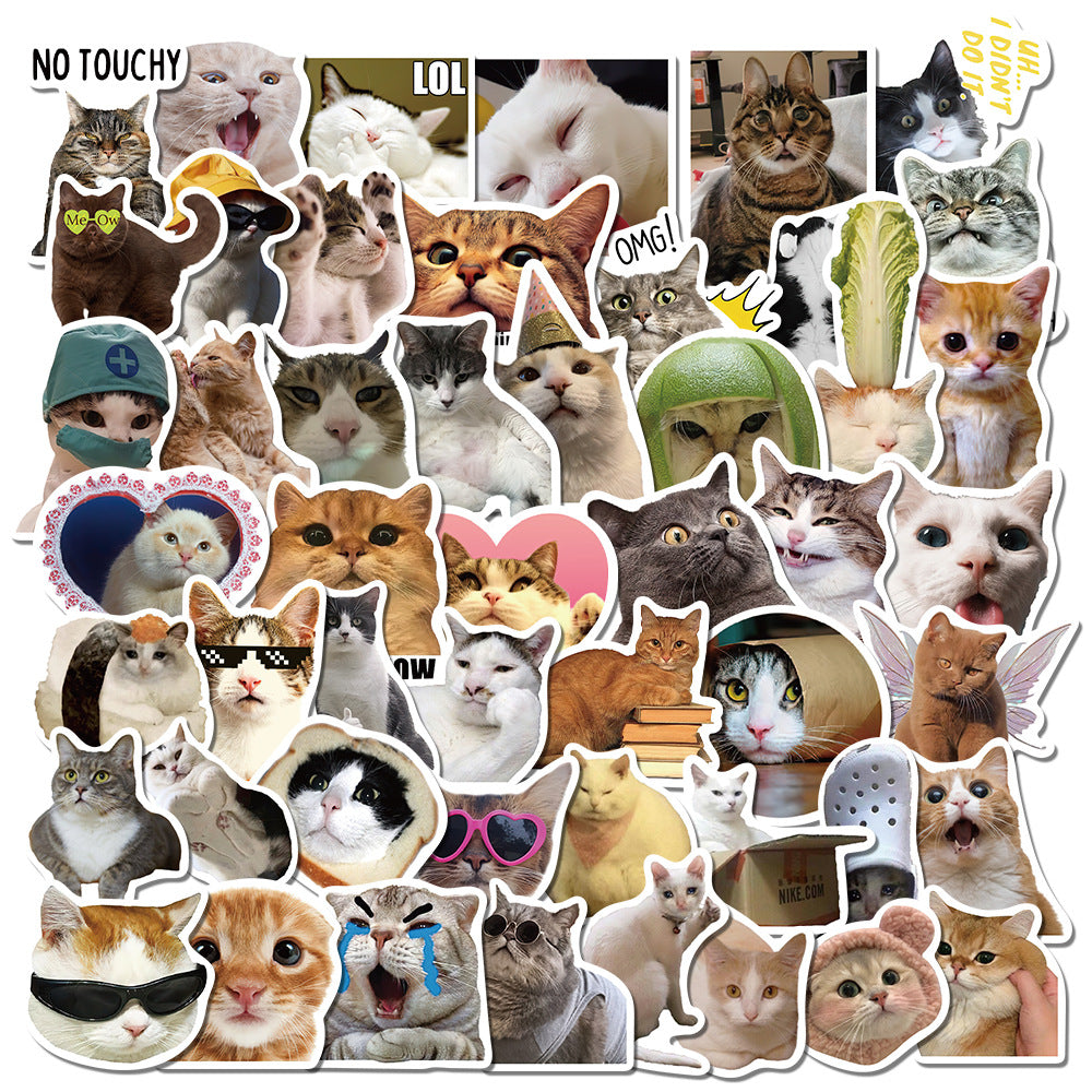 creative cat sticker