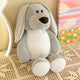 Little Gray Bunny (Pack of 2)