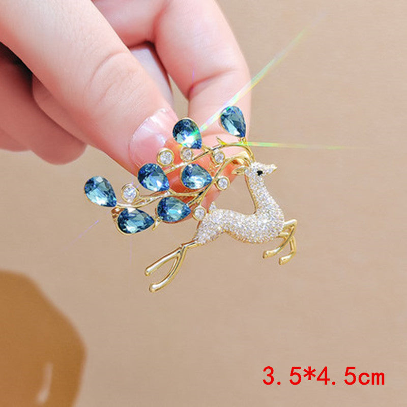 Stylish brooch on clothing display