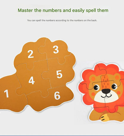 Cognitive development puzzle